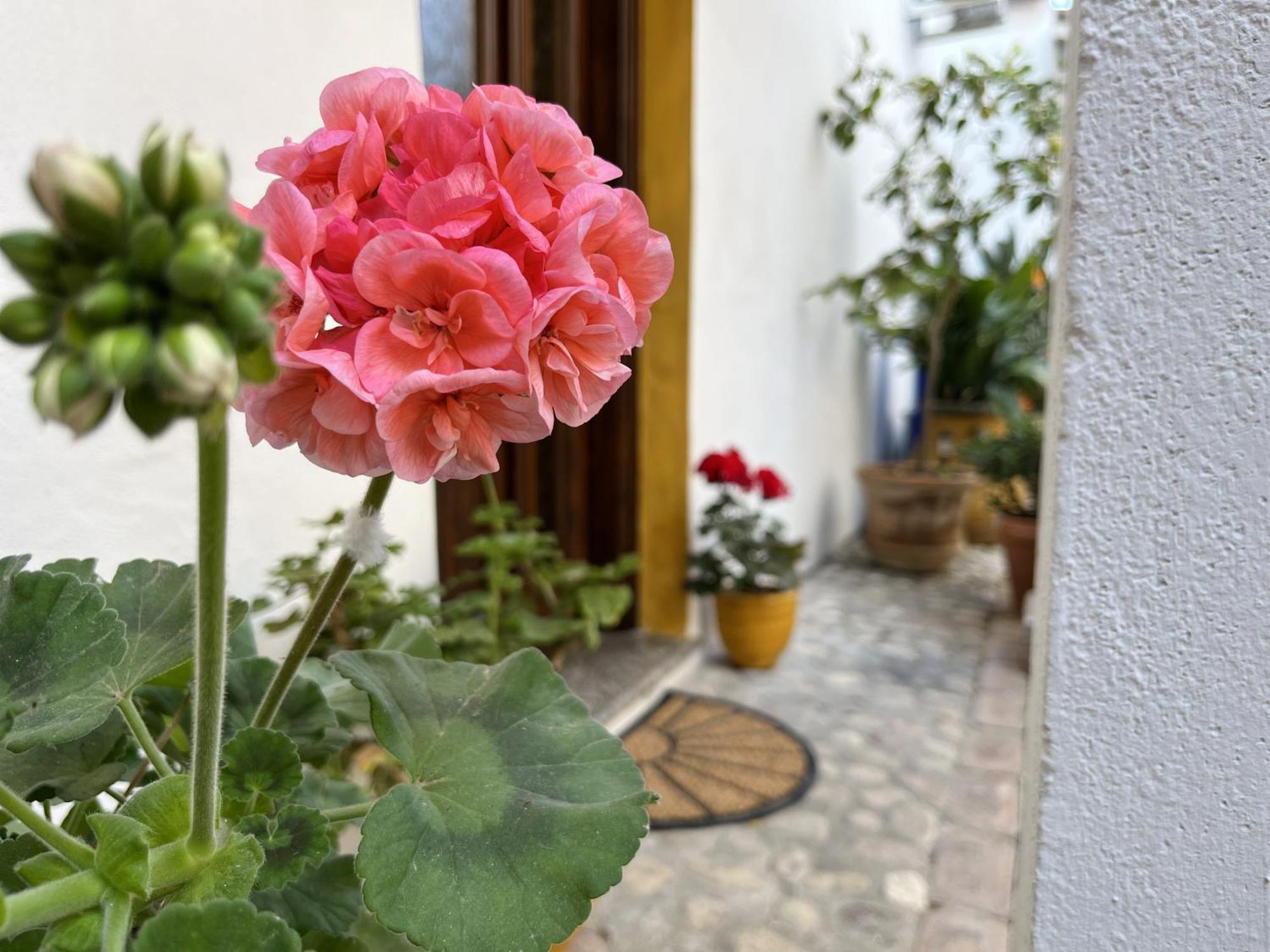 Casa Lia - Independent Apartment In The Gulf Of Orosei Galtellì Екстериор снимка